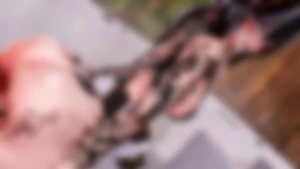 Just a bit of summer fun vr facetracking photoshoot tease pool bikini part 3