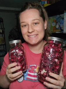 We harvested the last of the seasons roselle after we put them in the