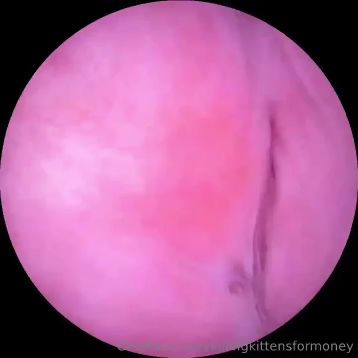 What if i told you i had a dildo with a camera on the end 