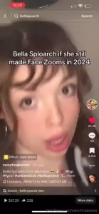 Beech beech beech beech beech