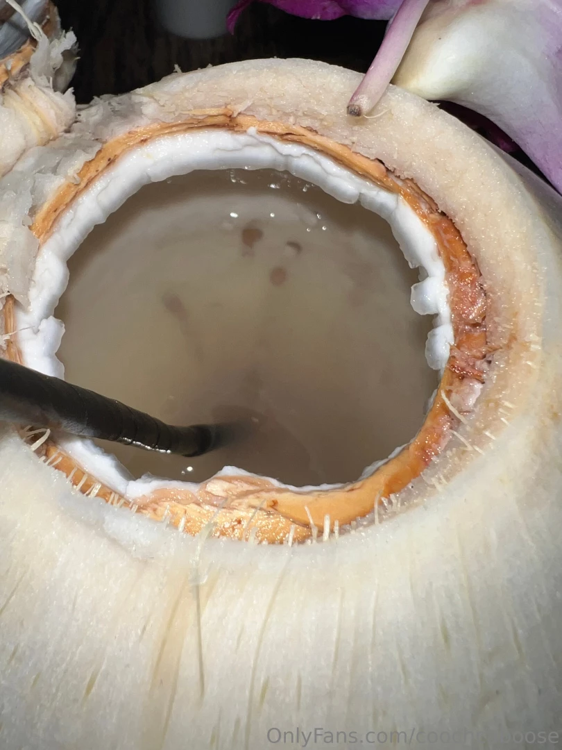 Free content alert the cocoussy lil hairy but the nut still inside 