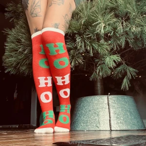 What are you celebrating this holiday season