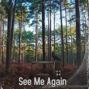 New song i literally just made called see me again