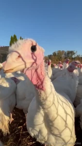 2024 you ve been good to me thankyou lord