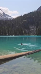 I finally hiked joffre lakes on friday i cant handle cold water but i