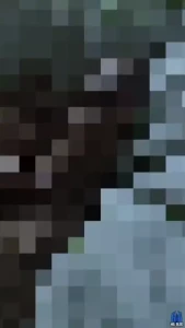 Daddy woke up horny as fuck and ready to use you like my personal