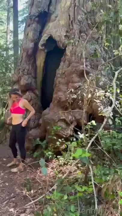 This tree was a little knotty 