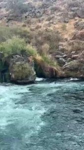 Get friends who tell you to do stuff like this i m easily convinced part 1