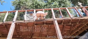 What a wonderful day to pee off my balcony outside i hope the farmers