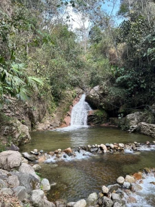 I have no one to accompany me under this waterfall