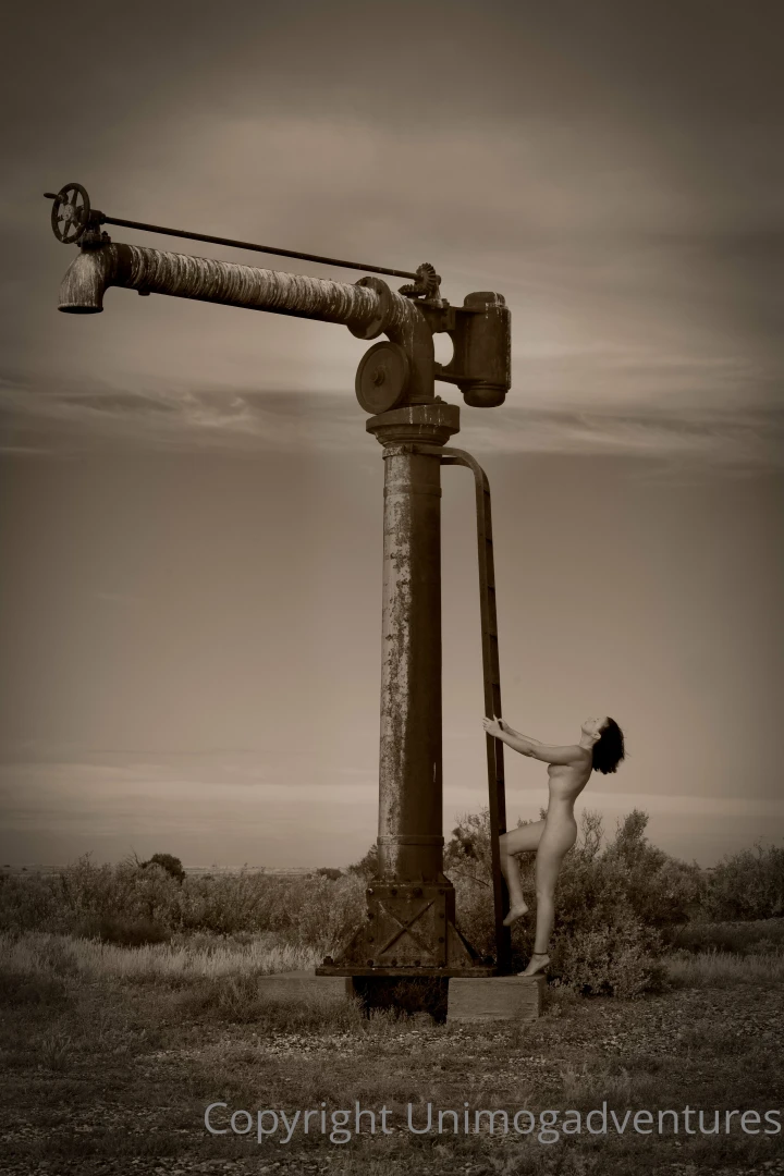 Here are two photos taken at farina in the latest one they have 