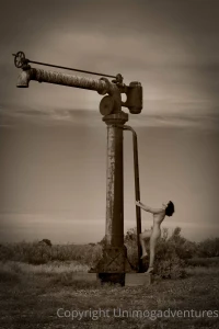 Here are two photos taken at farina in the latest one they have