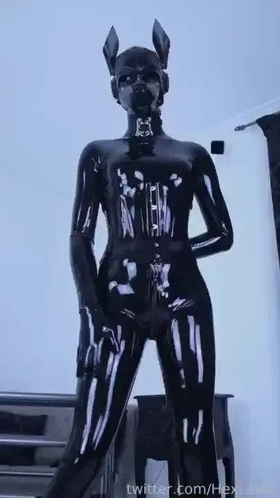Just a cute rubber pup making sure to give that latex a quick test 