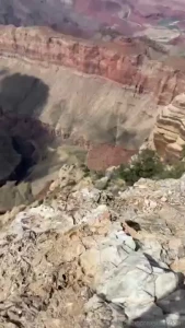 I m really unsure if these can be posted idk if of likes nature pics