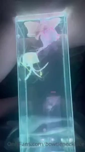 Happy freaky friday silicone jellyfish bounce and dance around my