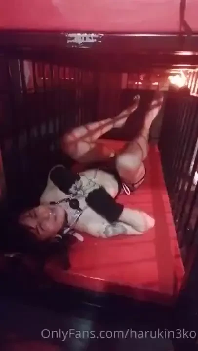 La gatita terminando un largo rato de juegos con final muy feliz con 