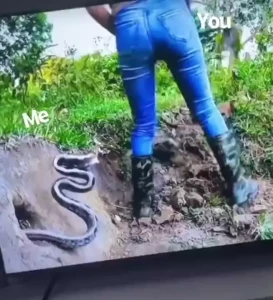 I will attack that booty