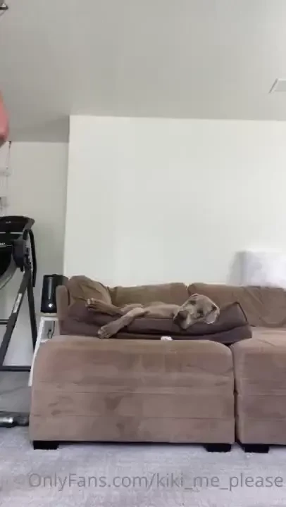 Time to open all the windows and vacuum my living room 