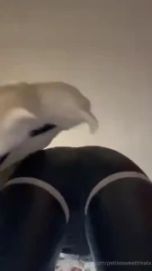 Thank you to robertlovesart on twitter x for the lovely cosplay neve part 40