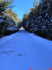 Cold days here in canada need a big cock to warm me up who wants to part 1