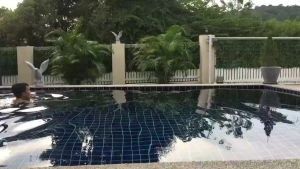 My friend s house this place is very beautiful onlyfans com