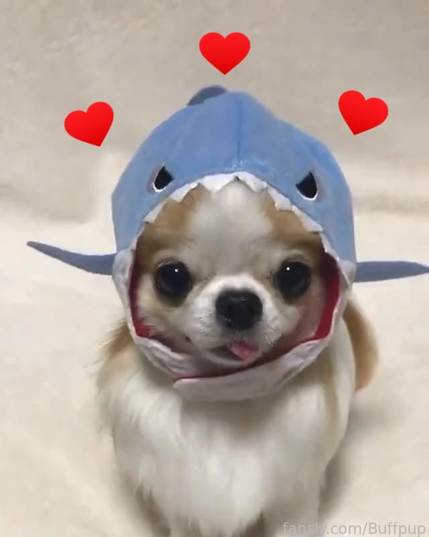 Hey ya ll - update- imma merge the average pup and above average pup 