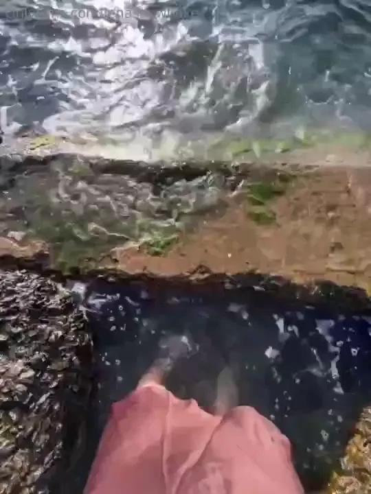 Odessa is a pearl by the sea i m such a delicate soul that the wind 