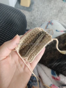 New cat toy always use cotton yarn and watch your pet to make sure