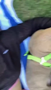 Venom is excited to you and won t mind your treats