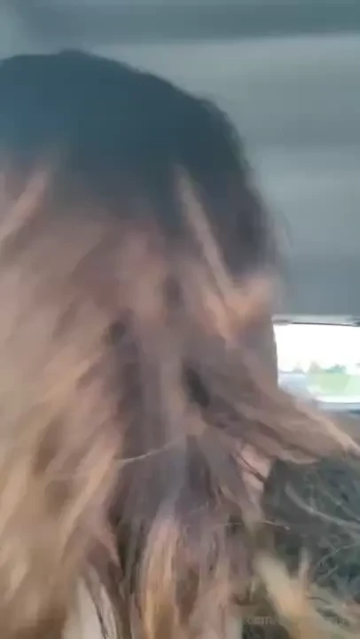 Hi life sucks and we are all gonna die someday so why not flash the 