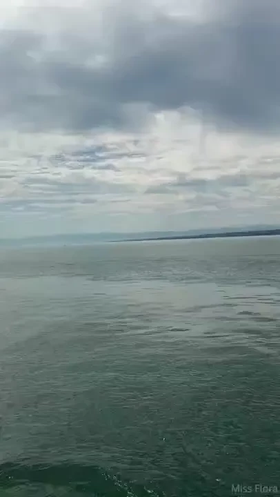 Photodump - what have i been up to the last two weeks i went to a part 1 