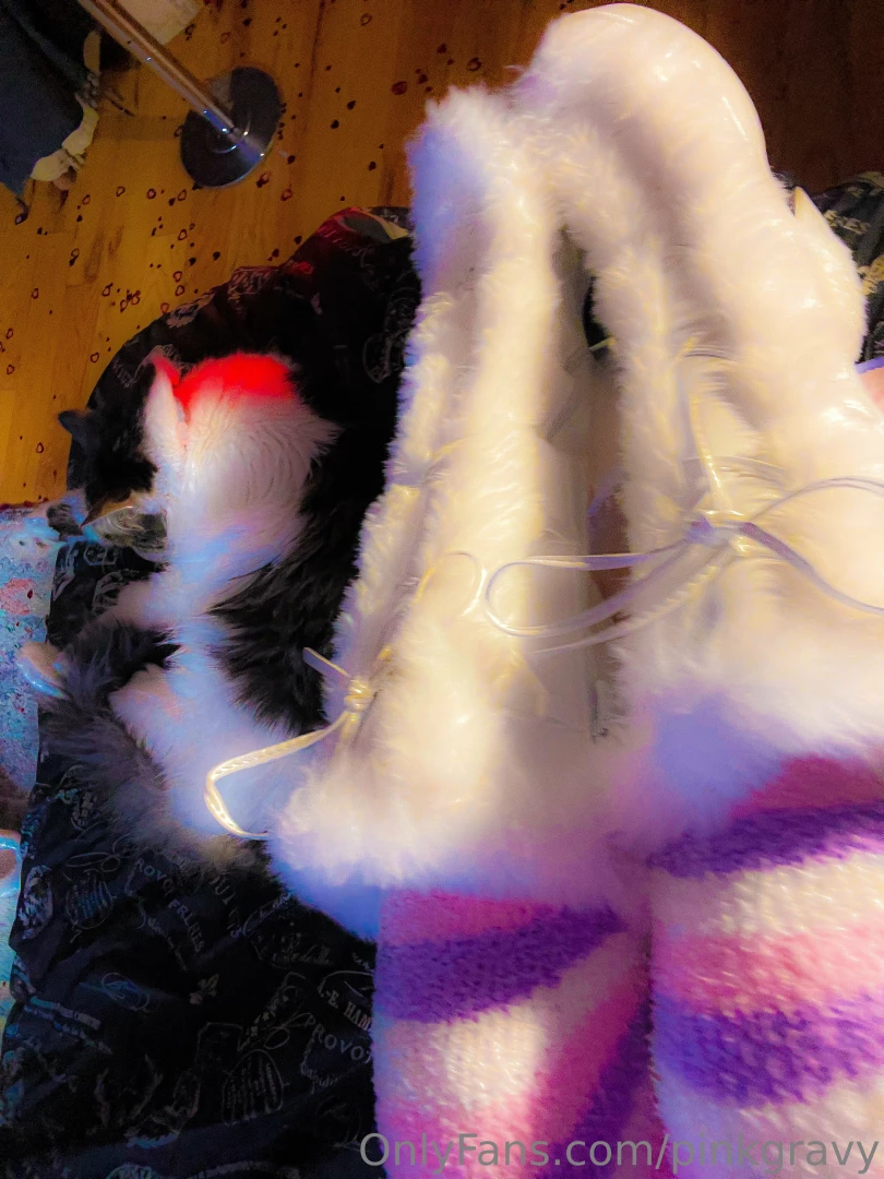 These pics definitely hold some chestier cat vibes but let me know part 1 