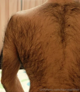 You like my hairy back