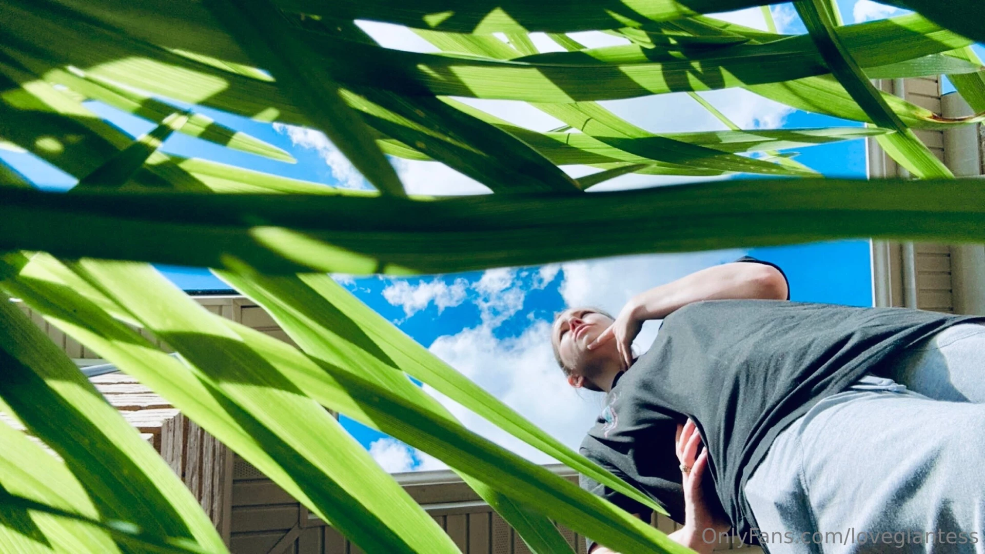 Where did that pesky tiny go 