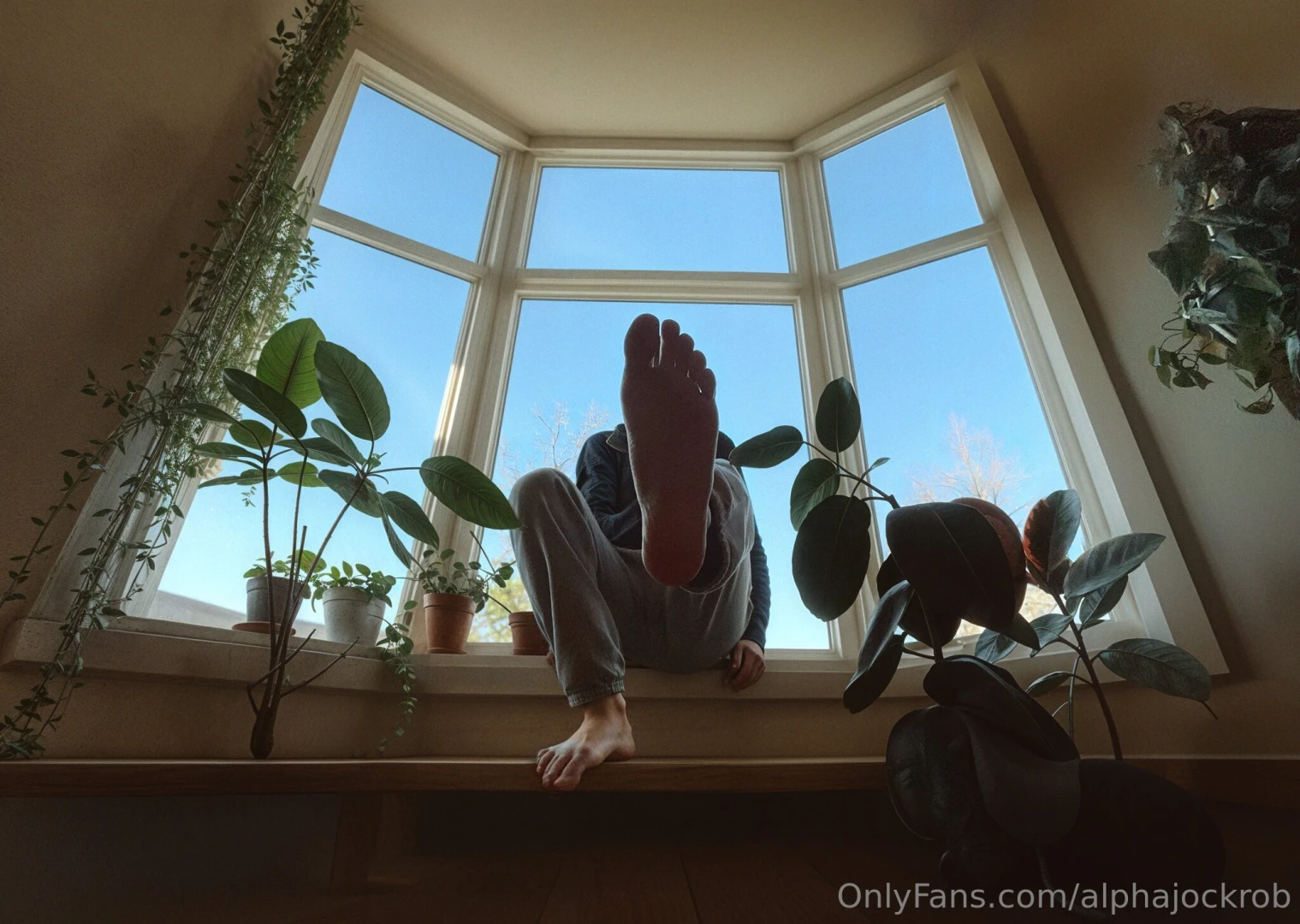 Happy friday from your plant daddy what are your plans for this 