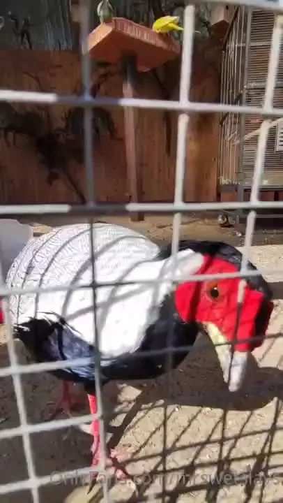 During the weekend i rested in such beautiful nature circumstances on 