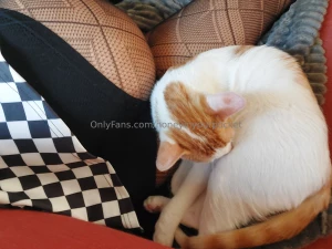 Kittykitty he s such a pain in the ass but he can be cute sometimes part 2