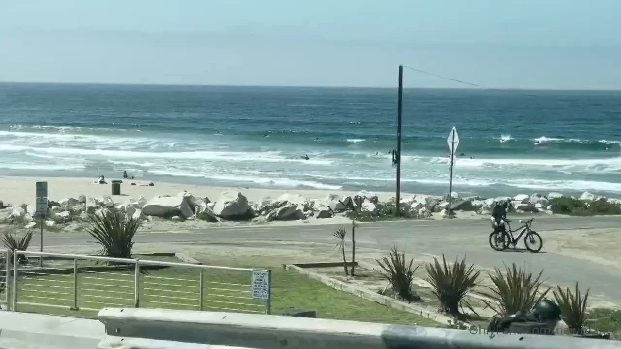 Day in my virtual life 