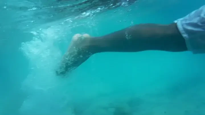 Snorkeling in cura ao 