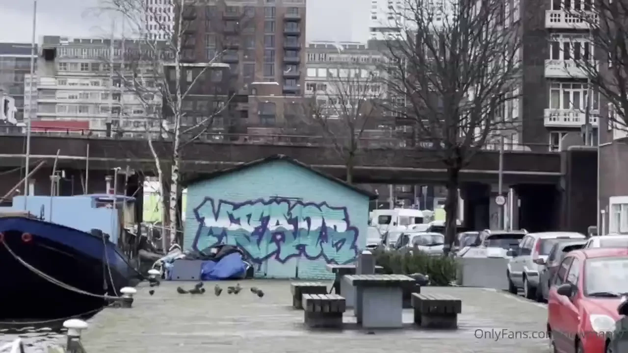 Walkwitme rotterdam netherlands 