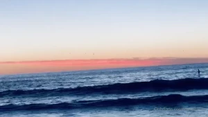 Chasin sunsets - hermosa beach live black friday 2020