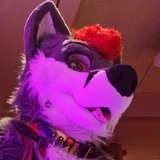 dalitefur