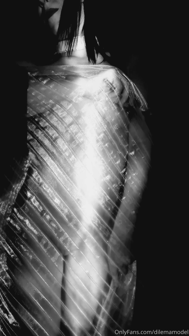 Dilemamodel part 206 