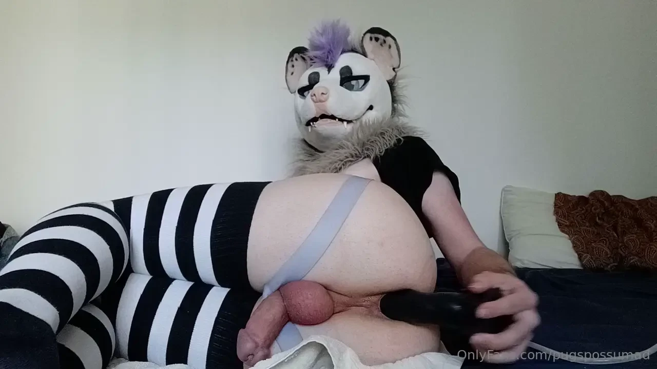 Horse toy horse toyyyyy 