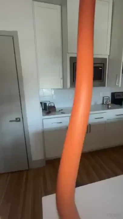 What a delightful toy 