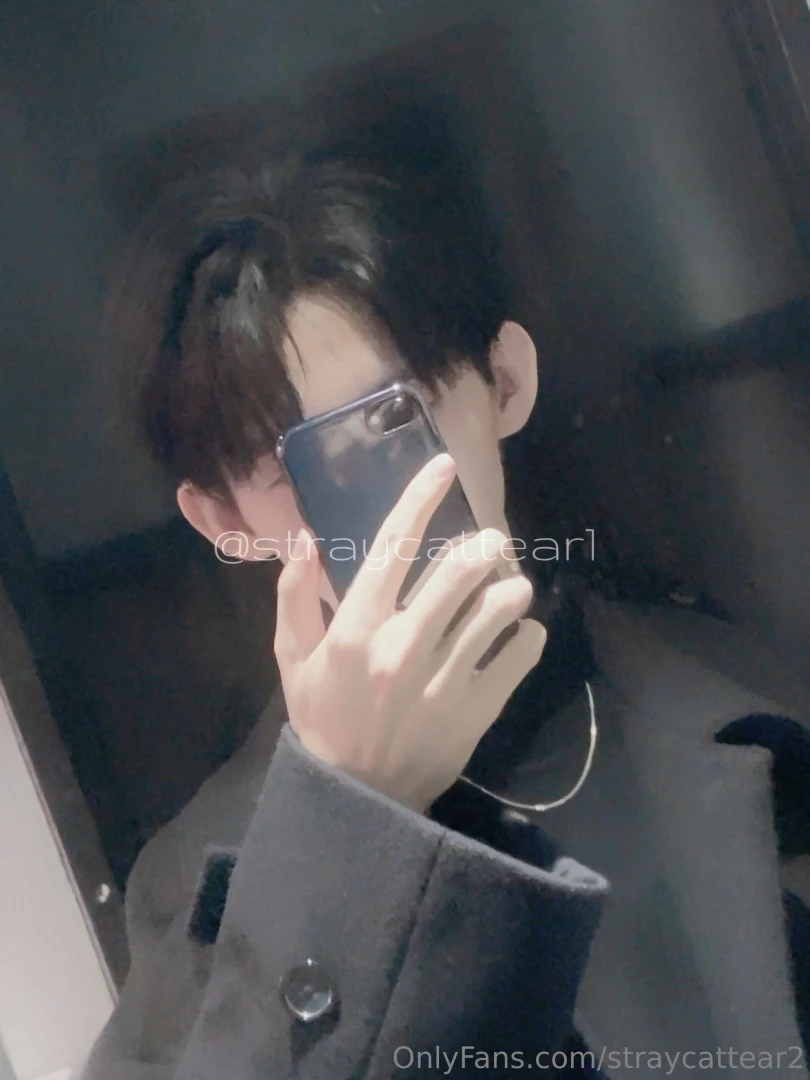 Straycattear2 part 53 