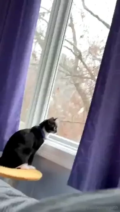 We made it to my parents place 3 