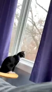 We made it to my parents place 3