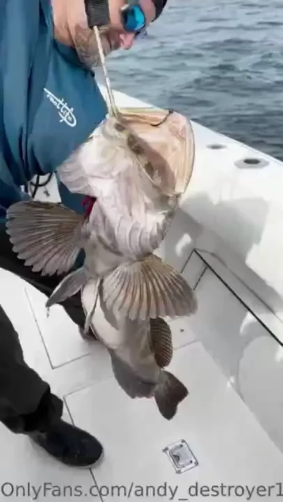 Check out the fish we caught 
