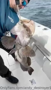 Check out the fish we caught